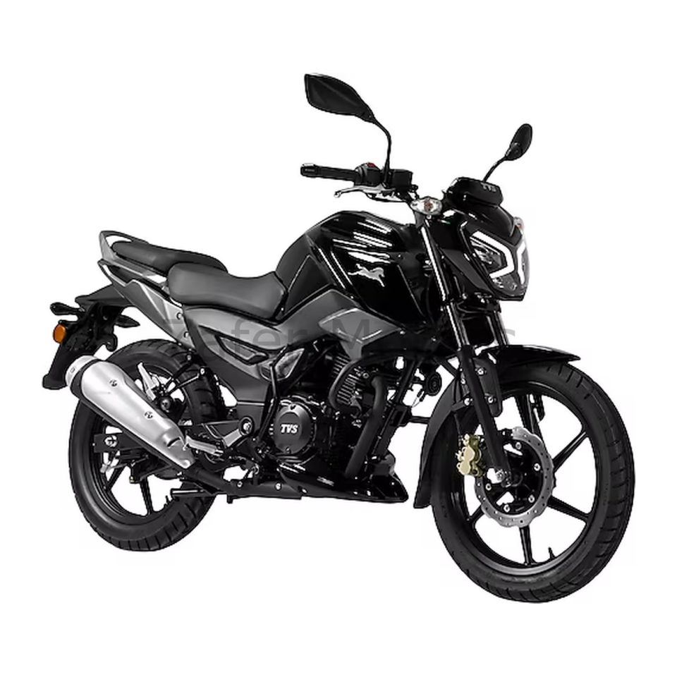 RAİDER 125