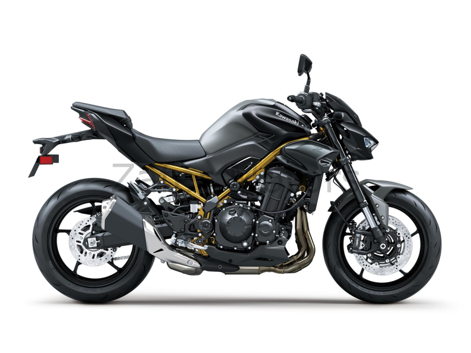 Z900 (2025)