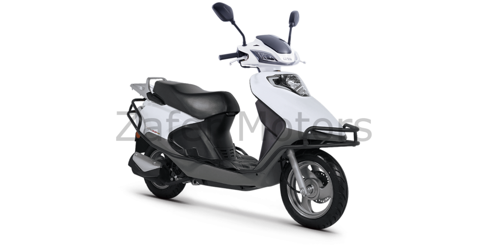 VN50 GRANDE