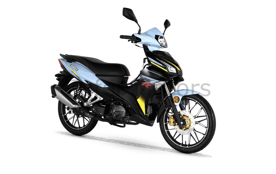 RS 50R PRO (RODOS)